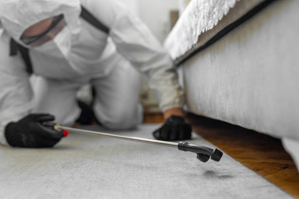 Professional Termite Control technician working in Wauwatosa, WI