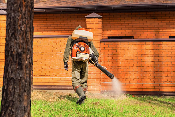 Trusted Termite Control service in Wauwatosa, WI - Nex Pest Control